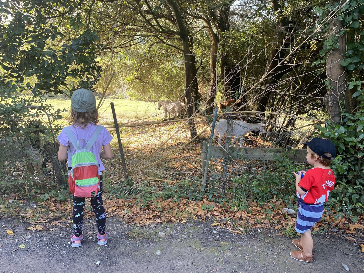 Children’s Route 8: A short and close route to the town centre of Gorliz