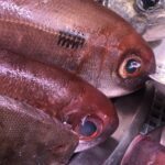 Échantillon d'un plat de poisson
