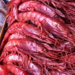 Échantillon d'un plat de homard