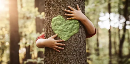 ENVIRONMENTAL CARE