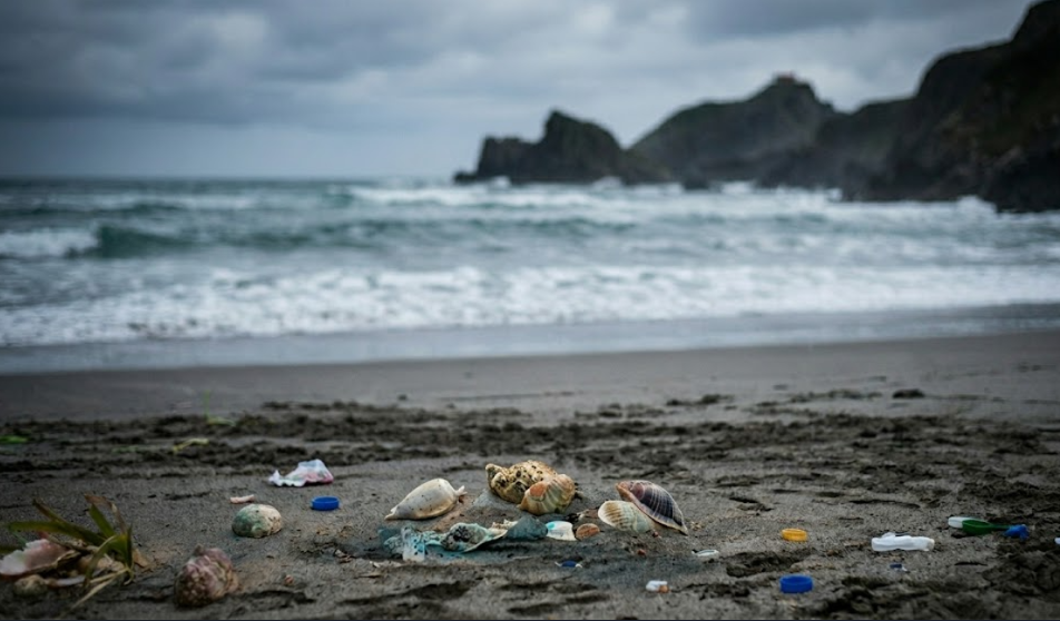 THANK YOU, SEA, WE WILL ALSO TAKE CARE OF YOU